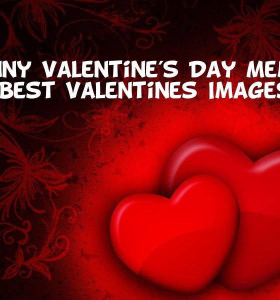 Funny Valentines Day Memes Best Valentines Images