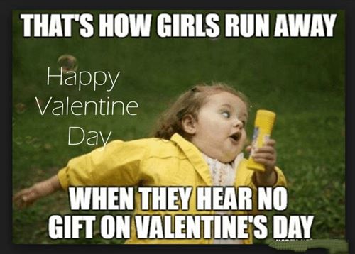 funny happy valentine days meme and images