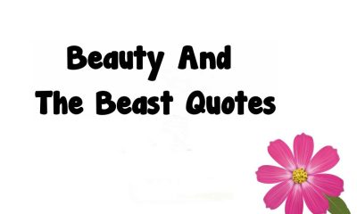 Beauty And The Beast Quotes Extremely Awesome