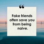 80 Powerful Quotes on Fake Friends and Fake People – Tiny Positive