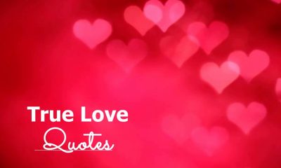 Best True Love Quotes for Him and Her Thatll Remain in Our Hearts Forever