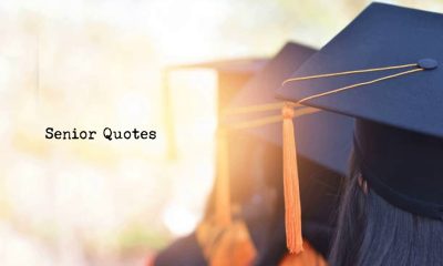 Inspirational Senior Quotes Ideas and Examples that You Can Use for Your Journey to Graduation