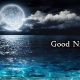Best Sweet Good Night Messages for Her Wishes and Quotes