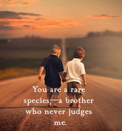 Sweet Brother Quotes That Will Make You Miss Him