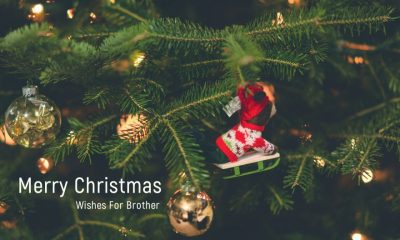 Best Merry Christmas Wishes For Brother Merry Christmas Quotes