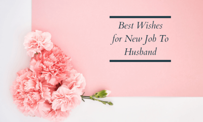 Best Wishes for New Job To Husband Messages and Quotes
