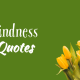 Inspirational Kindness Quotes That Will Stay Positive