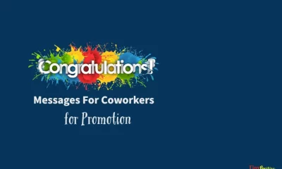Congratulations Messages For Colleague Promotion Wishes