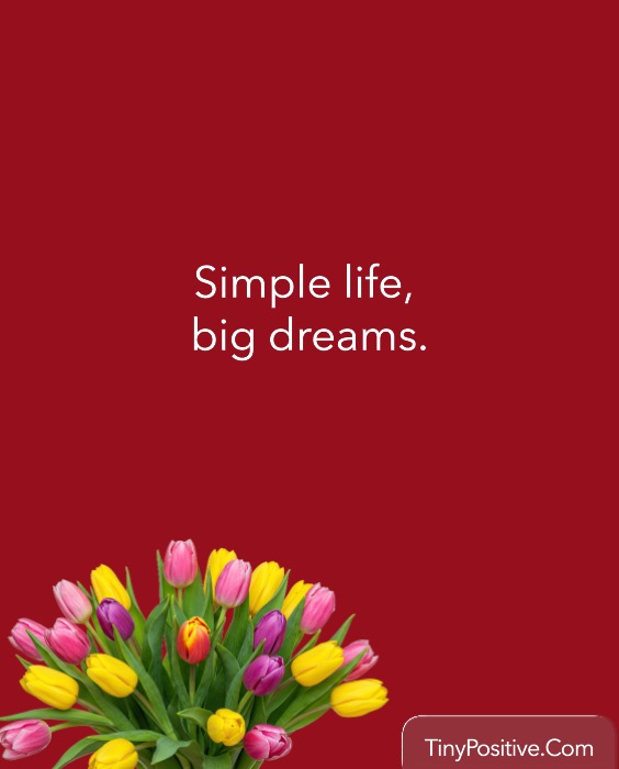 Short Good Life Quotes for Instagram Captions to Boost Your Feed