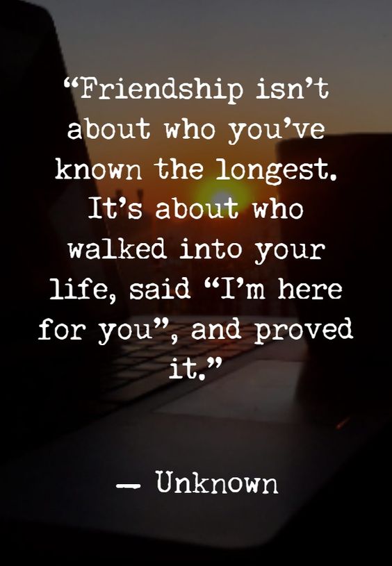 Short friendship quotes