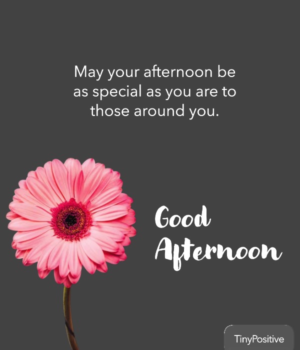 Good Morning message with a white teddy bear and a bouquet of red and white roses.