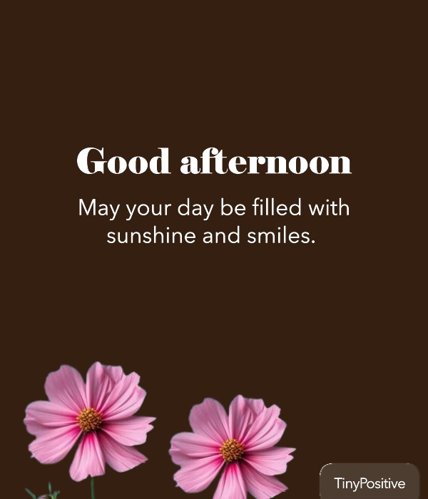 Profound Good Afternoon Quotes about Life and Reflection