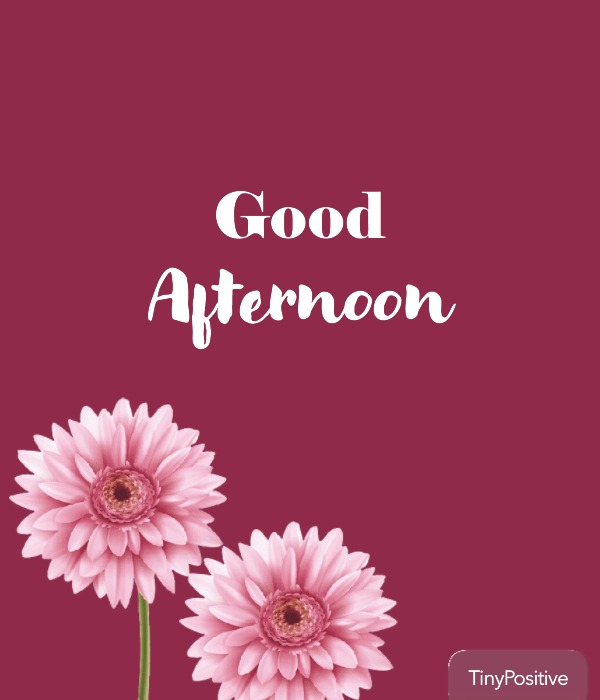 Sending a Good Afternoon Pic to Share with a Co worker