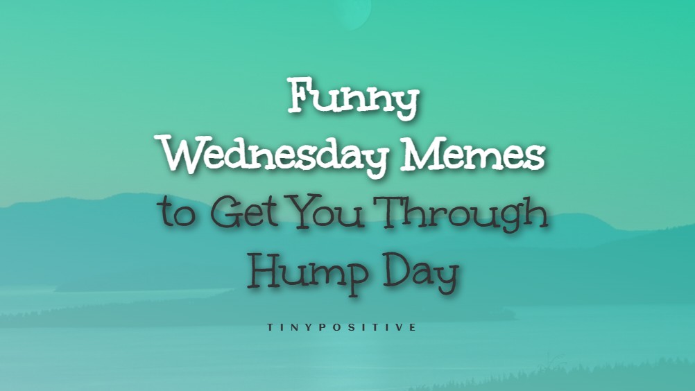 funny wednesday memes to get you through hump day