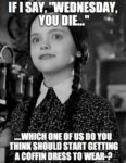 100+ Funny Wednesday Memes to Get You Through Hump Day – Tiny Positive