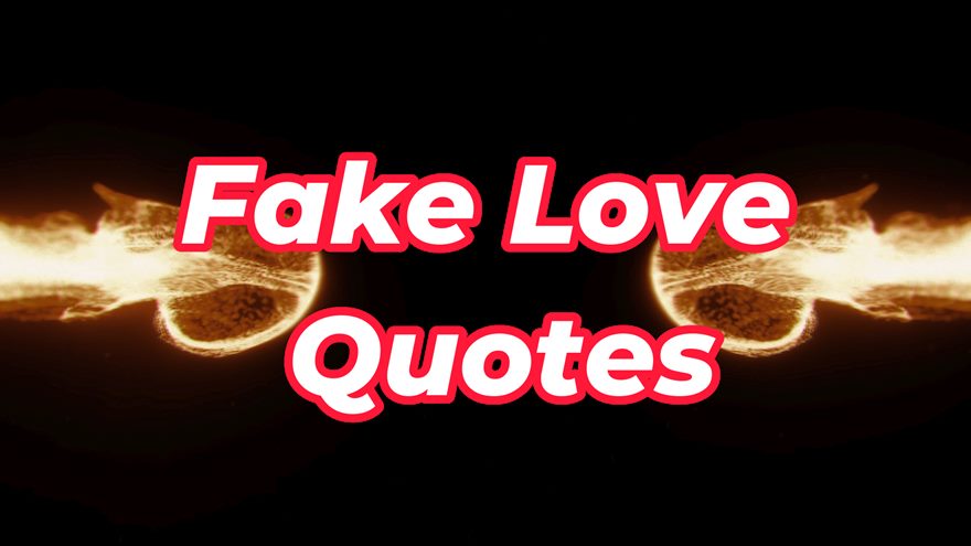 Fake Love Quotes and Sayings