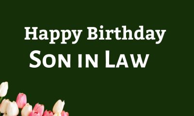 Heart Touching Happy Birthday Son in Law Wishes
