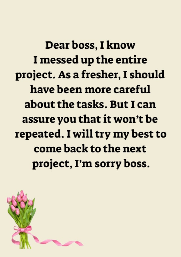 Sorry Messages for Boss Professional Apology Letters