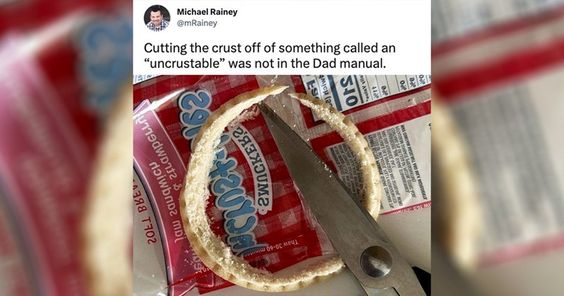 happy fathers day bbq meme