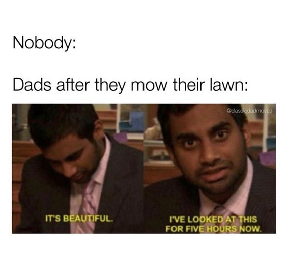 happy fathers day bro meme