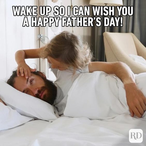 happy father's day cat meme
