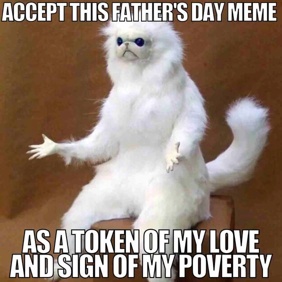 happy fathers day drinking meme