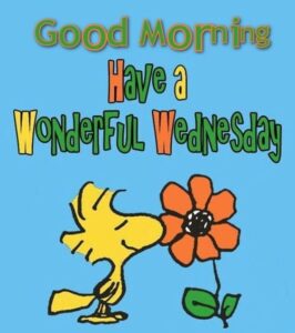 100 Good Morning Wednesday Memes - Hump Day Memes to Week – Tiny Positive