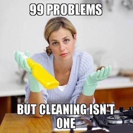 A woman in cleaning gloves holding a spray bottle and a piece of dirt/dust, with the text '99 Problems But Cleaning Isn't One'.