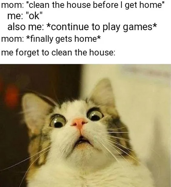 A wide-eyed, shocked cat meme with text about forgetting to clean the house before mom comes home.
