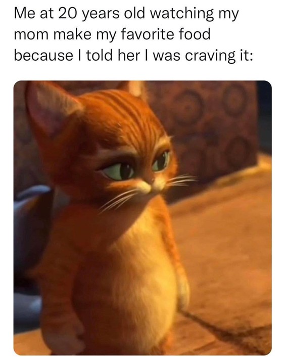 A cute, dramatic-looking animated cat (Puss in Boots style) with a caption about a mom making favorite food.