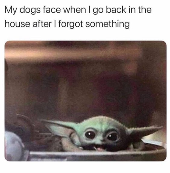 A tiny, large-eyed Baby Yoda (Grogu) peeking up with a sweet, excited, and slightly bewildered expression.