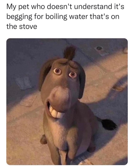 A smiling animated donkey from Shrek, used in a meme about a pet wanting boiling water.