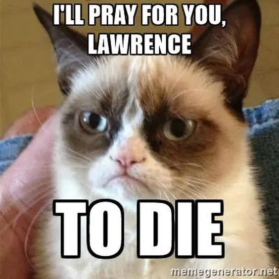 angry cat attack meme