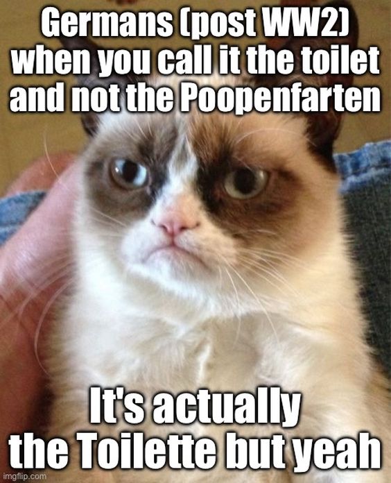 angry cat meme at table