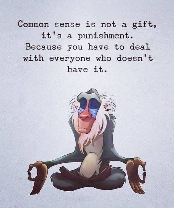 funny adult memes for work