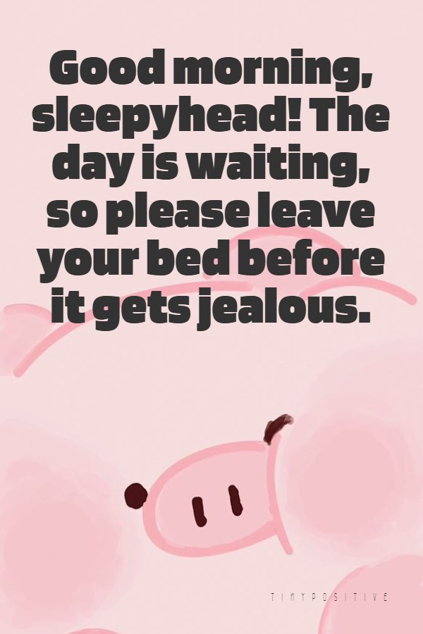 A gentle nudge to wake up. This quote is an affectionate and lighthearted way to wake someone up.