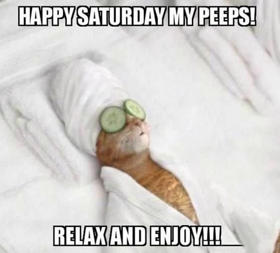 good morning happy saturday memes