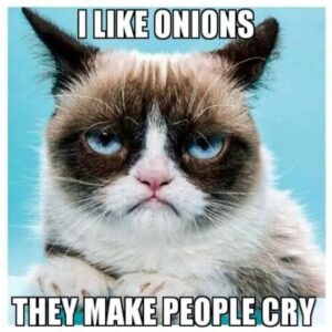 50 Grumpy Cat Memes That Broke the Internet: Viral Humor, Emotional ...