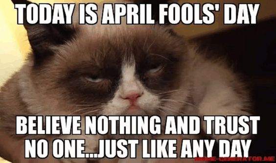 grumpy cat meme like a good neighbor