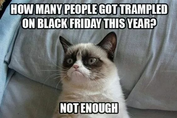 grumpy cat memes