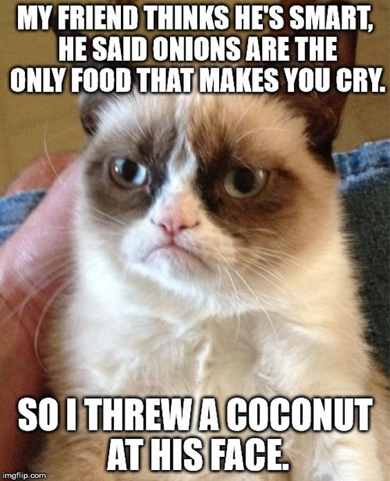 savage grumpy cat memes