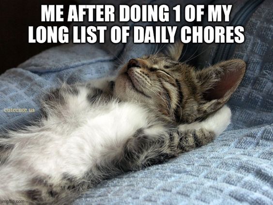 sleeping cat blanket meme