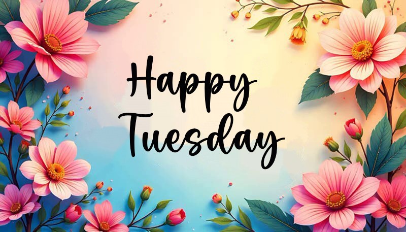 Best Happy Tuesday Images Greetings Share the Vibe