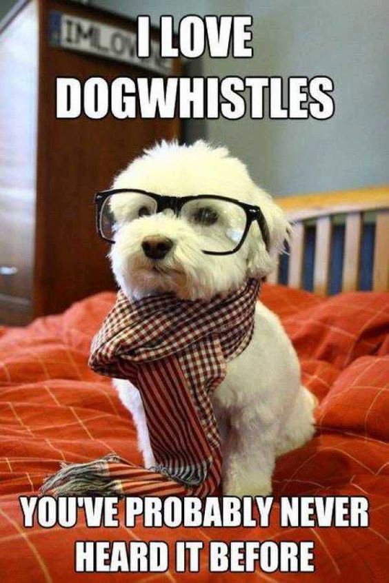 A meme featuring a small white dog wearing thick-rimmed glasses and a striped scarf, looking serious. The caption reads: I LOVE DOGWHISTLES. YOU'VE PROBABLY NEVER HEARD IT BEFORE.