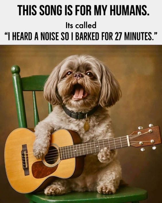 A meme featuring a small, fluffy dog sitting on a green chair and seemingly playing a guitar and singing. The text reads: THIS SONG IS FOR MY HUMANS. Its called “I HEARD A NOISE SO I BARKED FOR 27 MINUTES.”