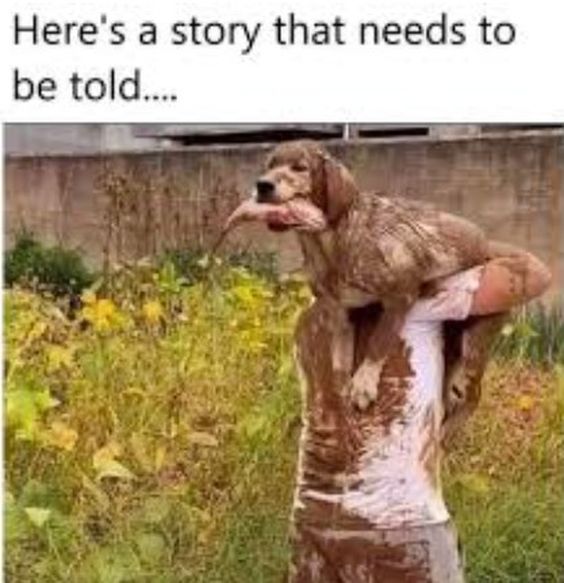 A meme featuring a person entirely covered in mud, carrying a mud-covered dog on their shoulders in a grassy field. The dog is carrying a large piece of meat or a bone in its mouth. The caption reads: Here's a story that needs to be told.....