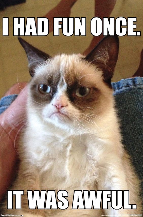 Animal Memes of Grumpy Cat