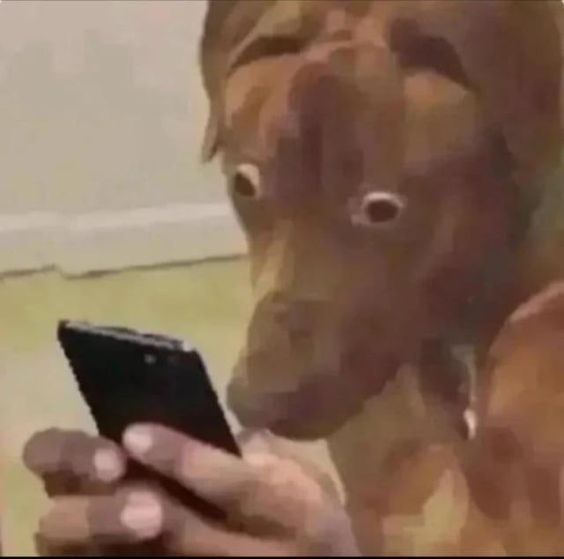 Animal reaction memes for when words fail you download