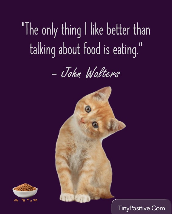 Funny Animal Memes About Food and Snacking