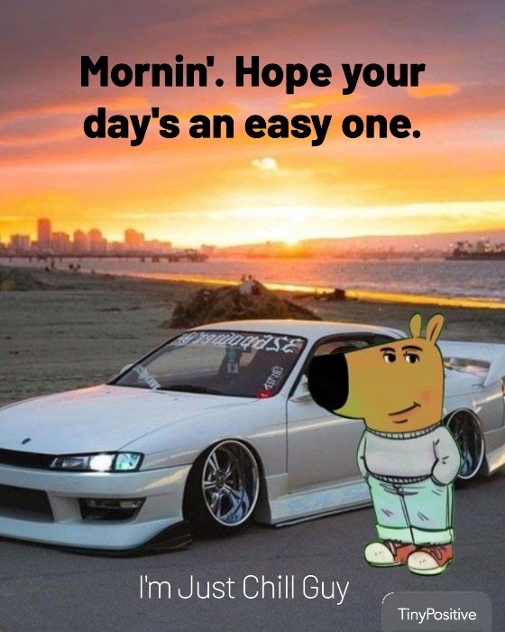 Good Morning Chill Guy Messages to Text a Friend